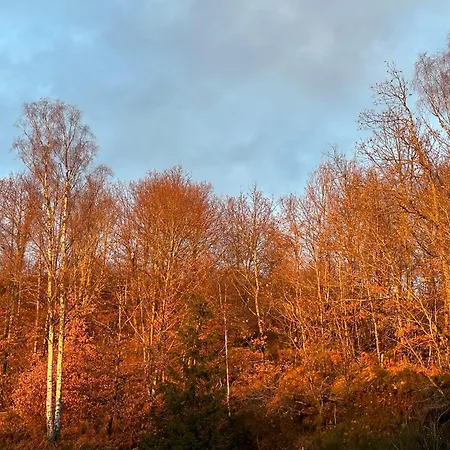 Au Coeur Des Lacs Calme Absolu Et Confort Moderne