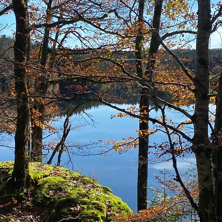 Au Coeur Des Lacs Calme Absolu Et Confort Moderne Nyaraló Tremouille (Cantal)