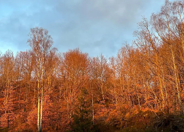 Au Coeur Des Lacs Calme Absolu Et Confort Moderne
