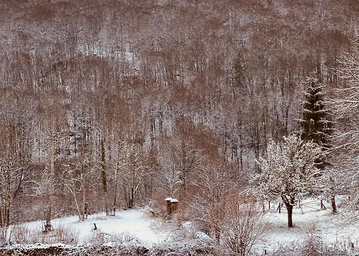 Au Coeur Des Lacs Calme Absolu Et Confort Moderne * Tremouille (Cantal)