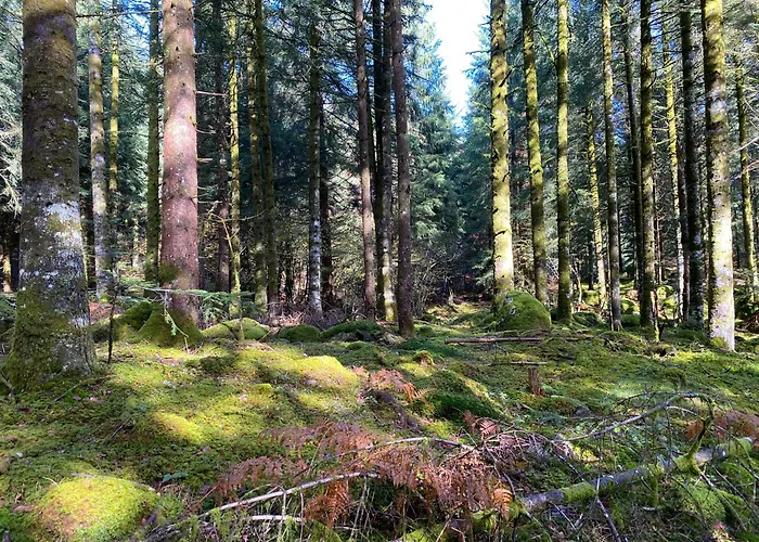 Calme Absolu Et Confort Moderne * Tremouille (Cantal)