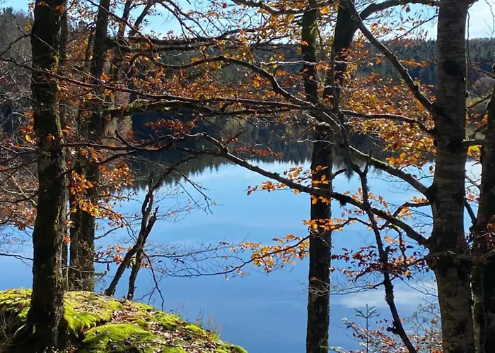 Calme Absolu Et Confort Moderne 度假居 Tremouille (Cantal)